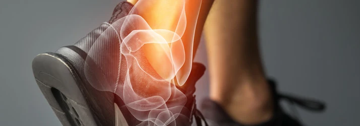 A close-up of a foot in a shoe with an overlay of ankle bones, highlighting joint structure